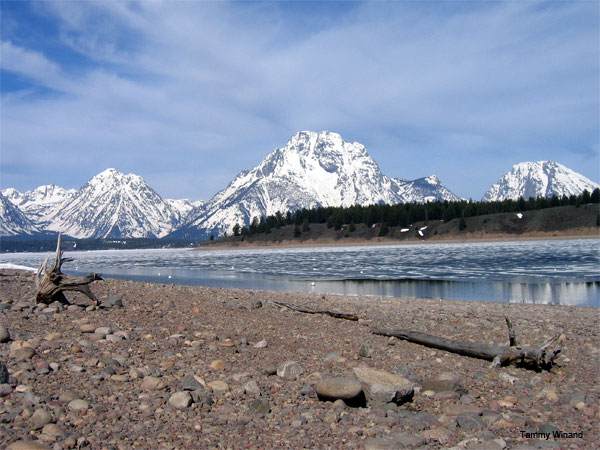 Teton Winter by Tammy Winand